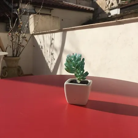 Couette-café Cialoma Palerme