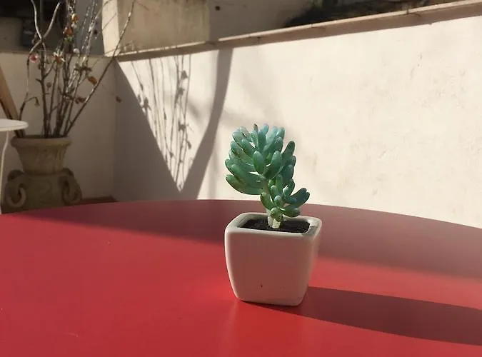 Bed and Breakfast Cialoma Παλέρμο