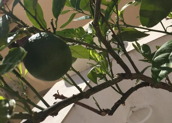 Bed and Breakfast Cialoma Παλέρμο